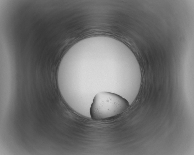 X0000112540423200908171210