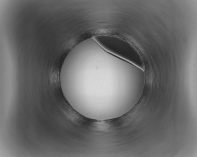 X0000112540425200908171210