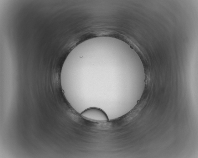 X0000112540426200908171210