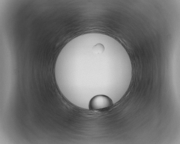 X0000112540427200908171210