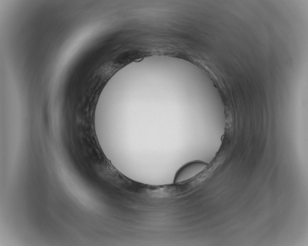 X0000112540430200908171210