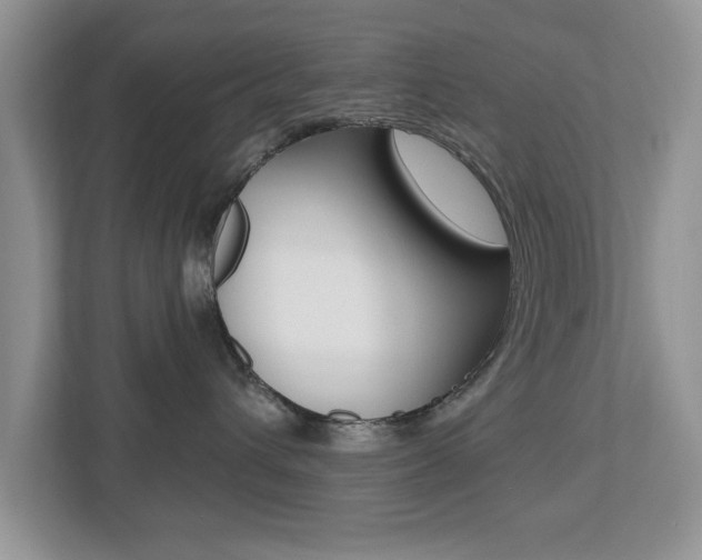 X0000112540432200908171210