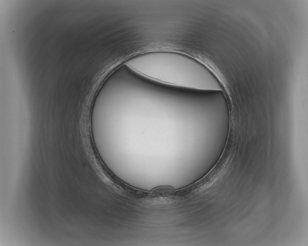 X0000112540433200908171209