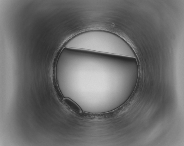 X0000112540434200908171209