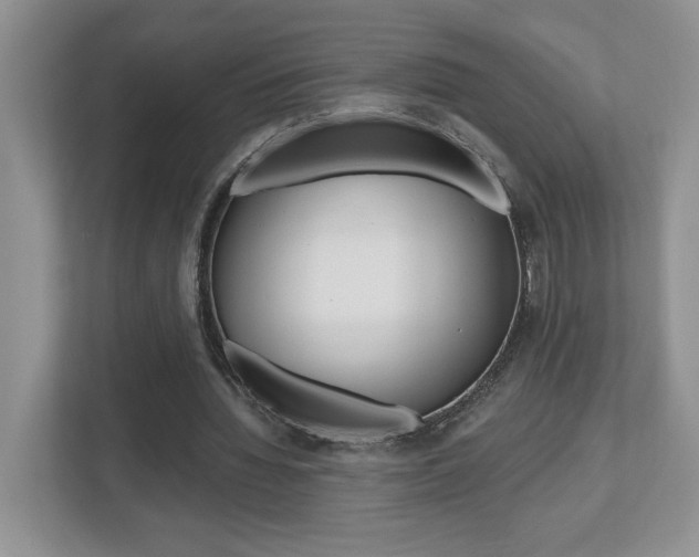 X0000112540436200908171209