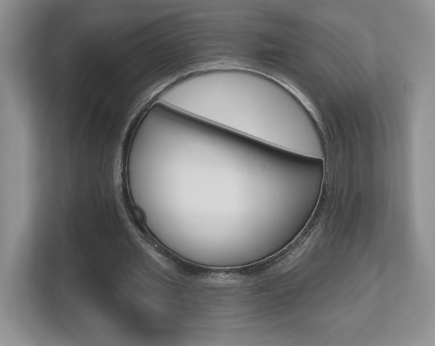 X0000112540437200908171209