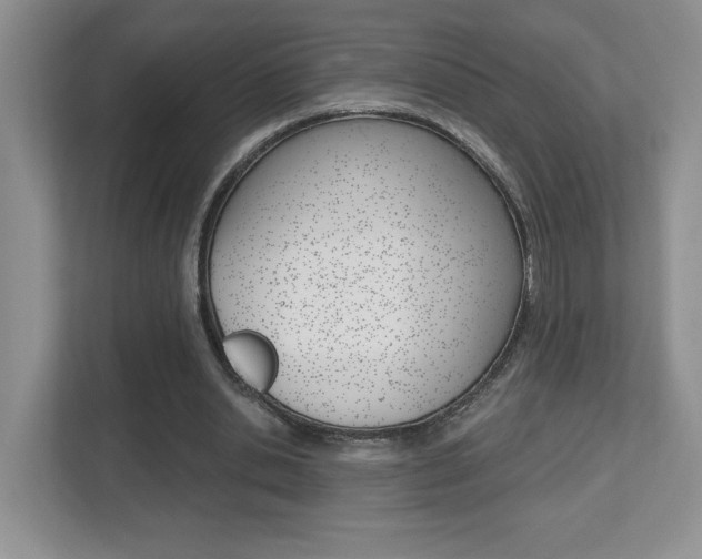 X0000112540438200908171209