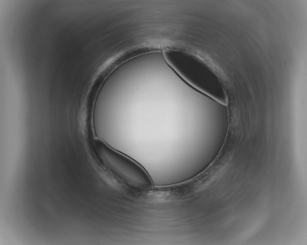 X0000112540440200908171209