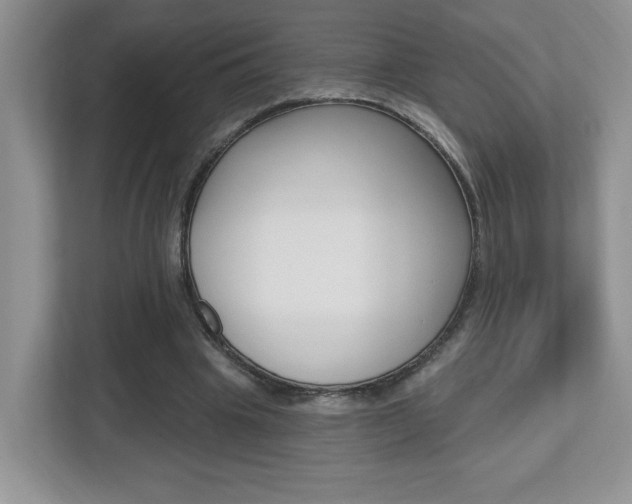 X0000112540441200908171209