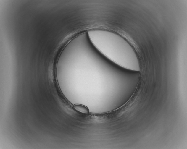 X0000112540442200908171209