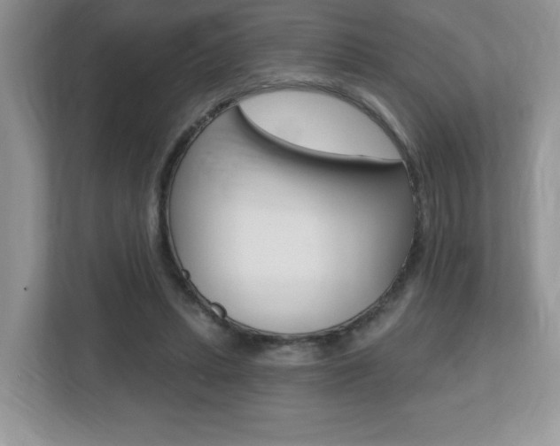 X0000112540447200908171209