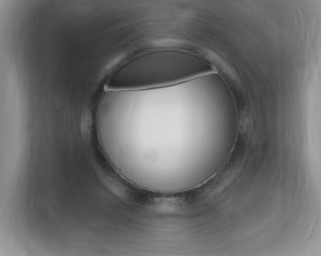 X0000112540448200908171209