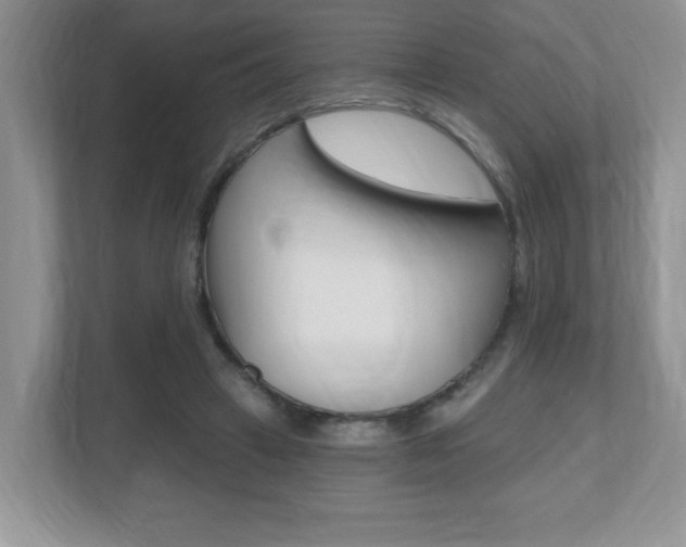 X0000112540449200908171209