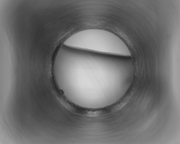 X0000112540450200908171209