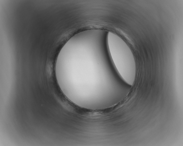 X0000112540451200908171209