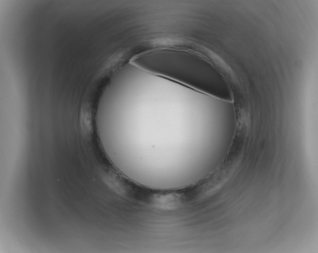 X0000112540452200908171209