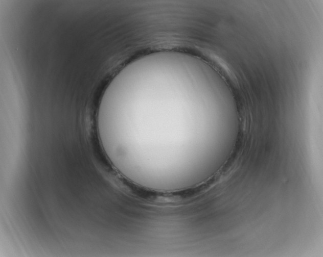 X0000112540455200908171209