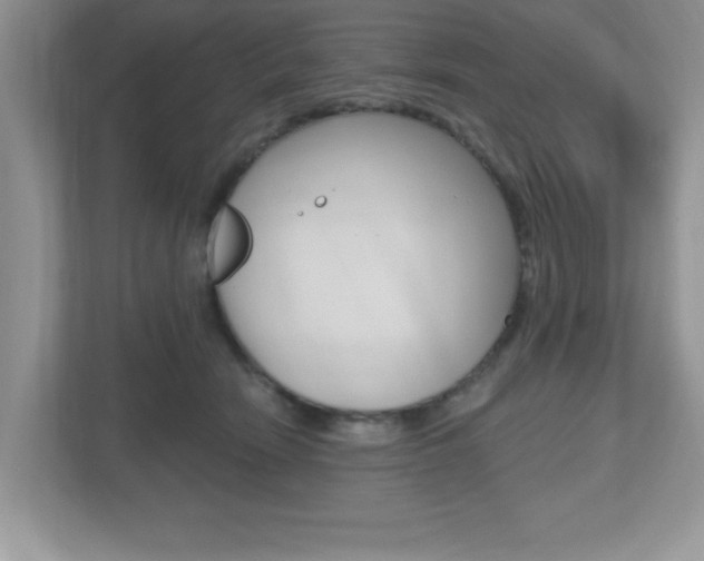 X0000112540466200908171210