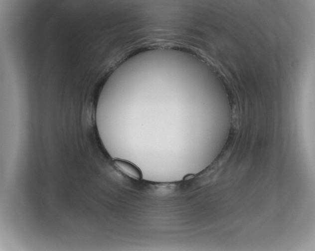 X0000112540474200908171210