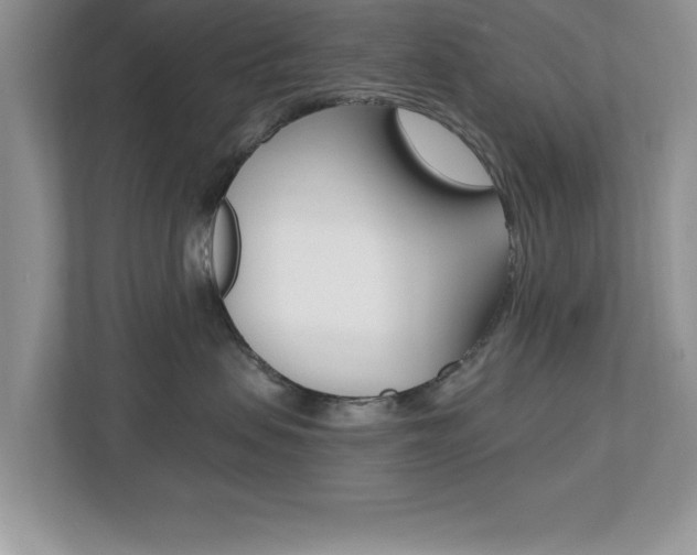 X0000112540479200908171210