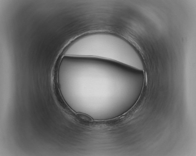 X0000112540483200908171209