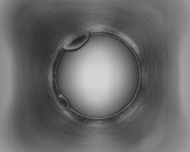 X0000112540485200908171209