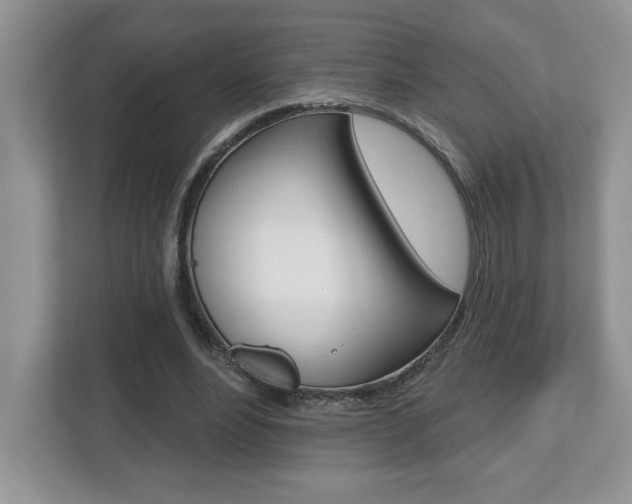 X0000112540488200908171209