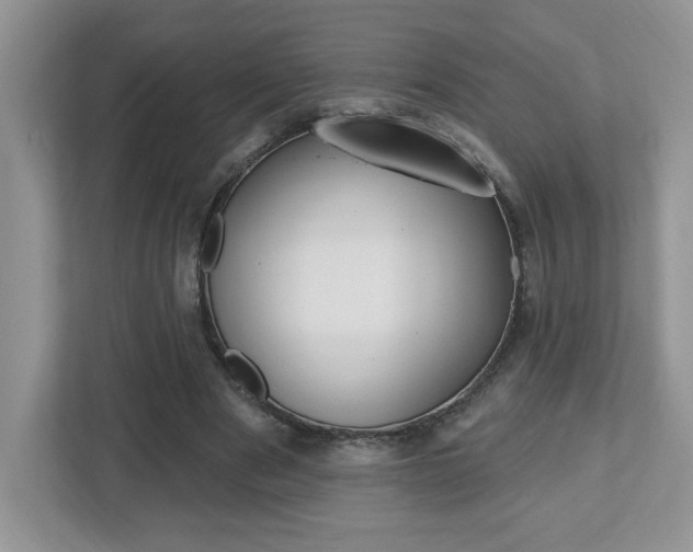 X0000112540489200908171209