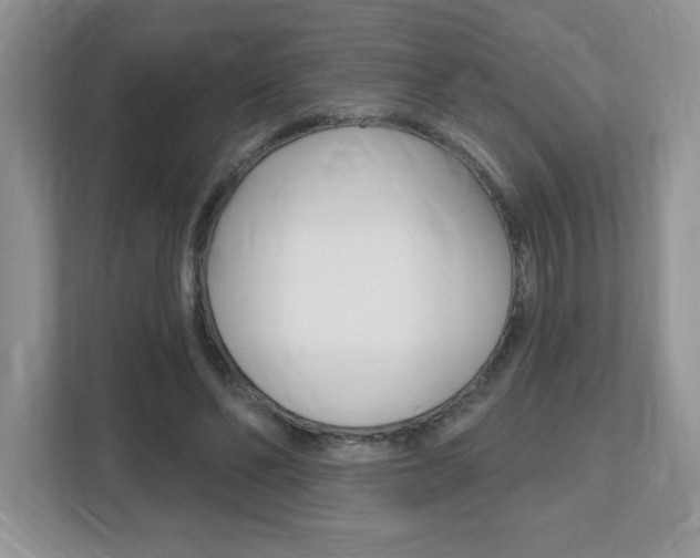 X0000112540494200908171209