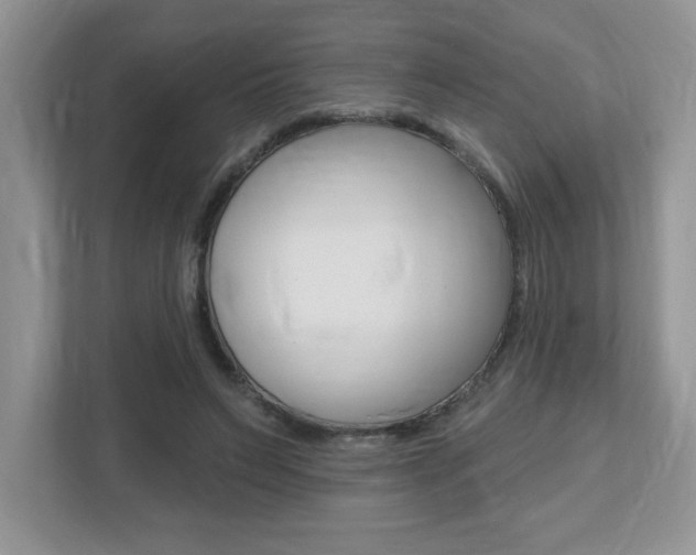 X0000112540495200908171209
