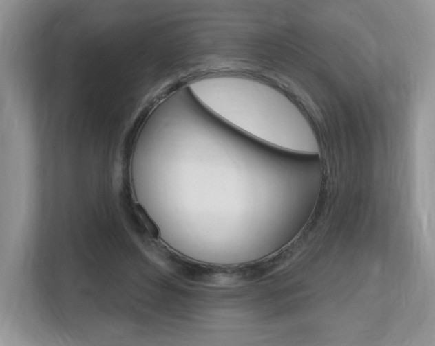 X0000112540496200908171209