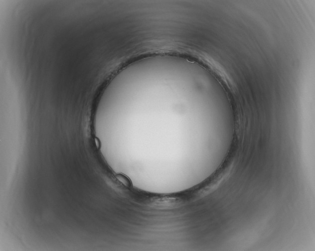X0000112540497200908171209