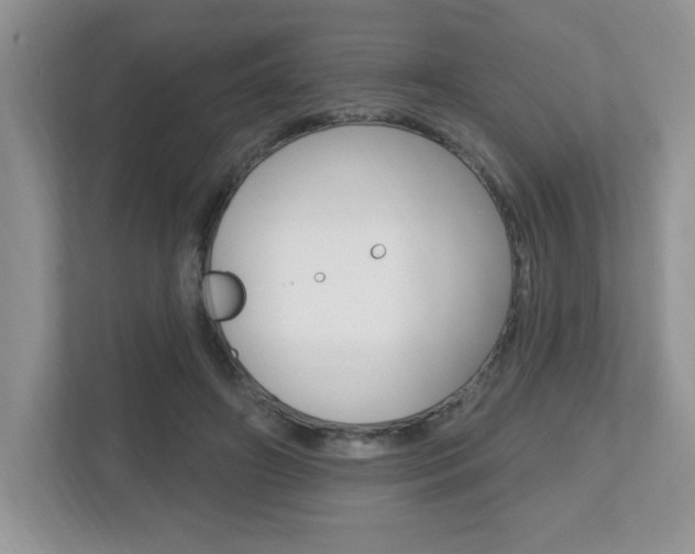 X0000112540498200908171209