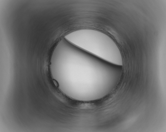 X0000112540499200908171209