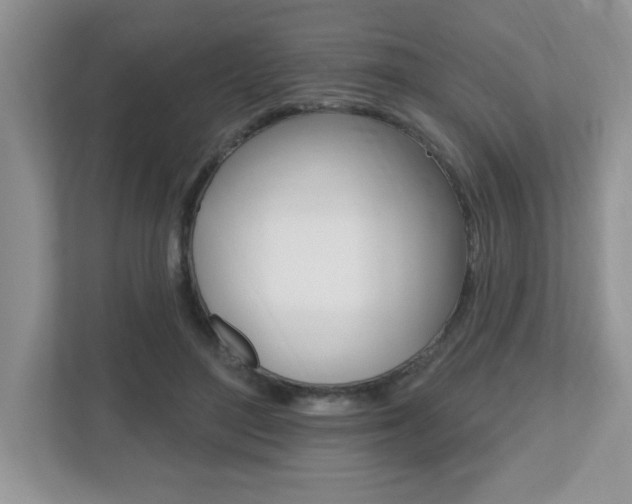 X0000112540500200908171209