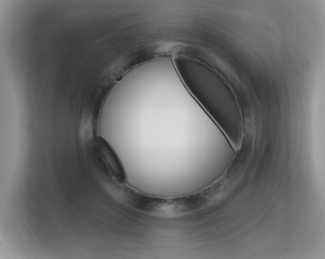 X0000112540504200908171209
