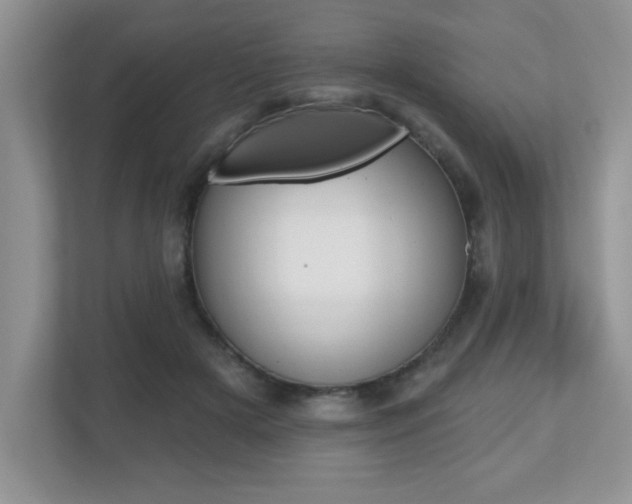 X0000112540505200908171209