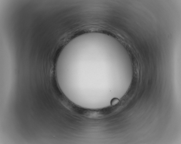 X0000112540507200908171209