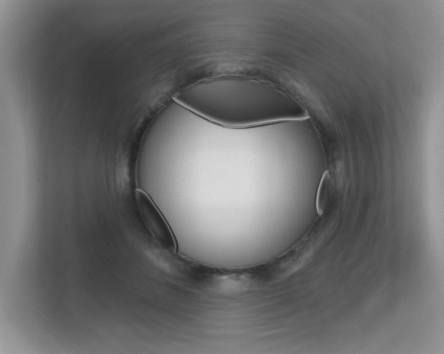 X0000112540508200908171209