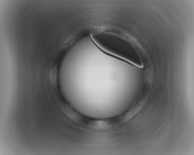 X0000112540509200908171209