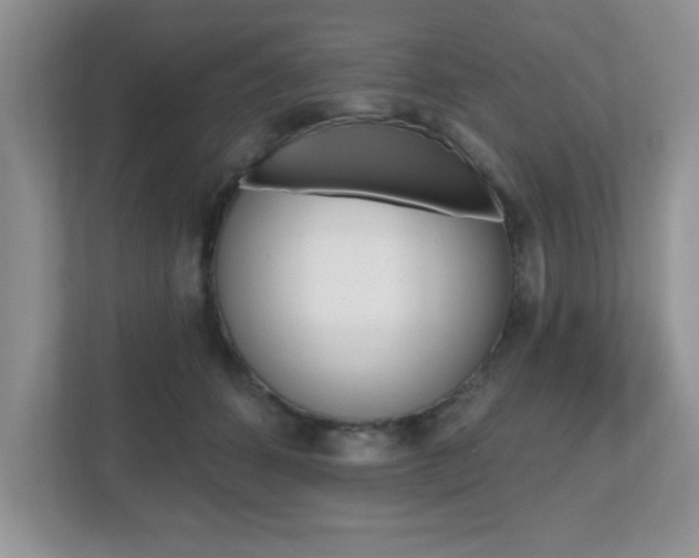 X0000112540512200908171209