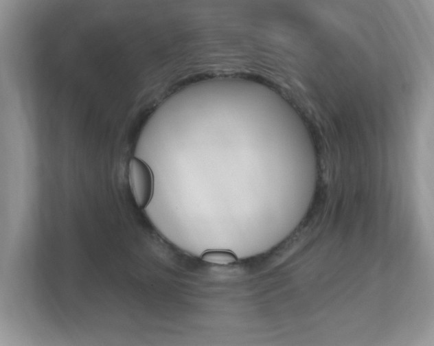 X0000112540515200908171209
