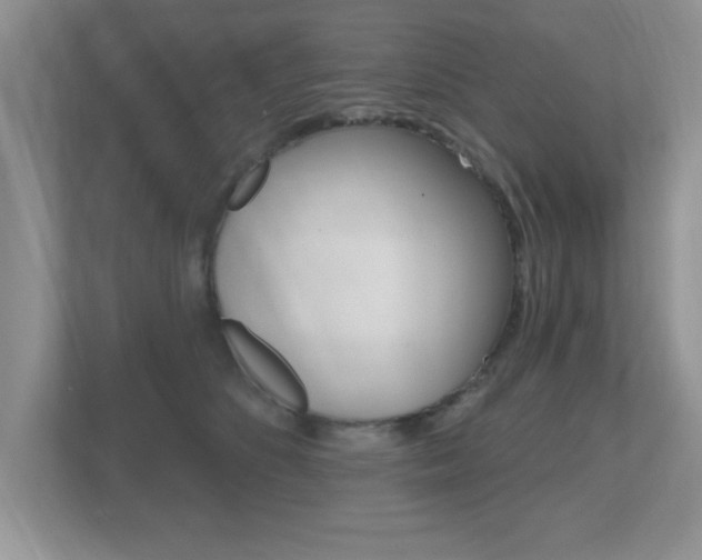 X0000112540516200908171209