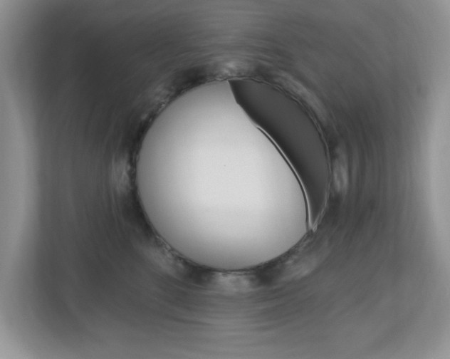 X0000112540520200908171209