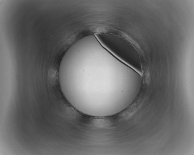 X0000112540521200908171209