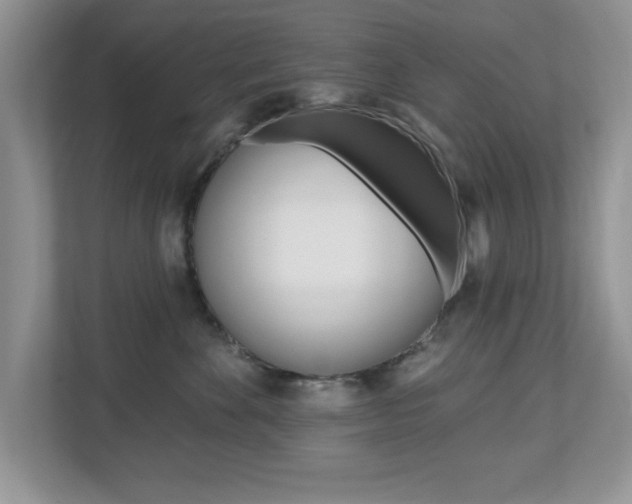 X0000112540524200908171209