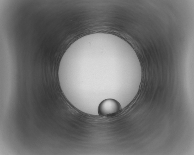 X0000112540525200908171209