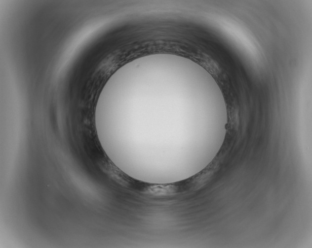 X0000112540526200908171208