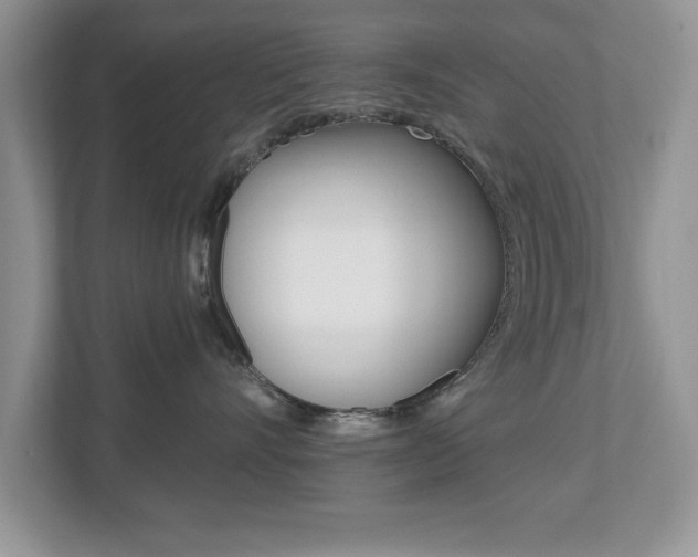X0000112540528200908171208