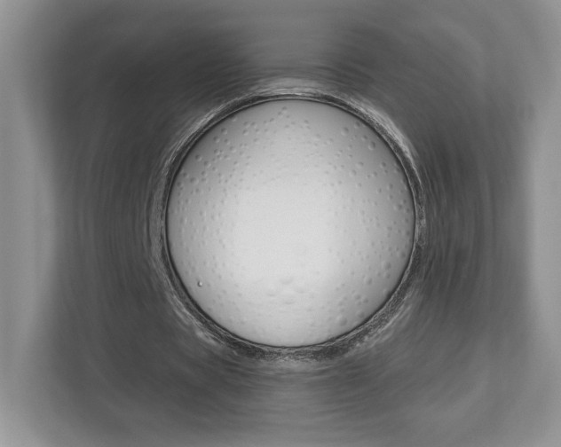 X0000112540529200908171208